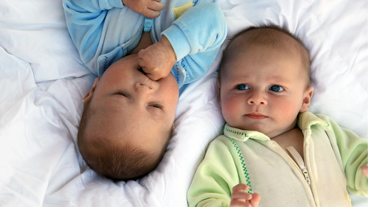 Фото из открытого источника на Яндексе.