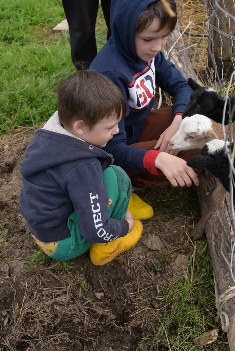 Максим и Матвей, июнь 2022