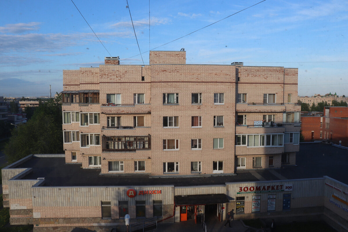 1.06.20 г.Пушкин, вид из окна на ближайшие 2 недели.