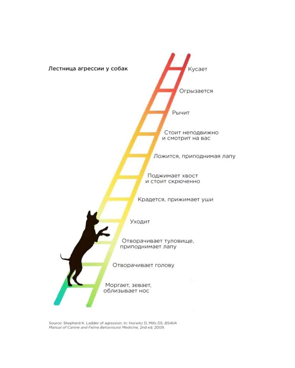 Признаки агрессии у собак