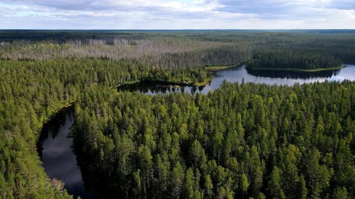 Река Уксунйоки в Республике Карелии