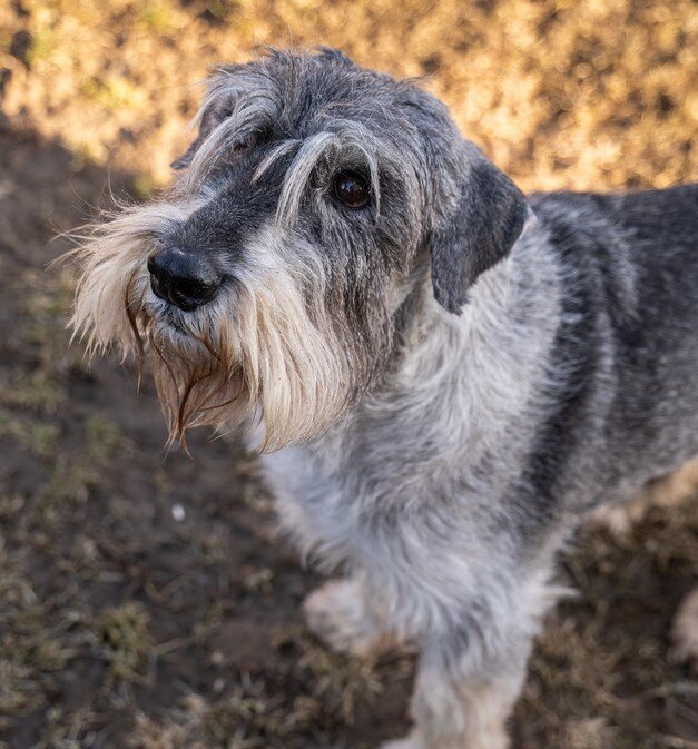 "Листики опадут, солнышко греть перестанет, переберусь к тёплой печке бока налёживать"