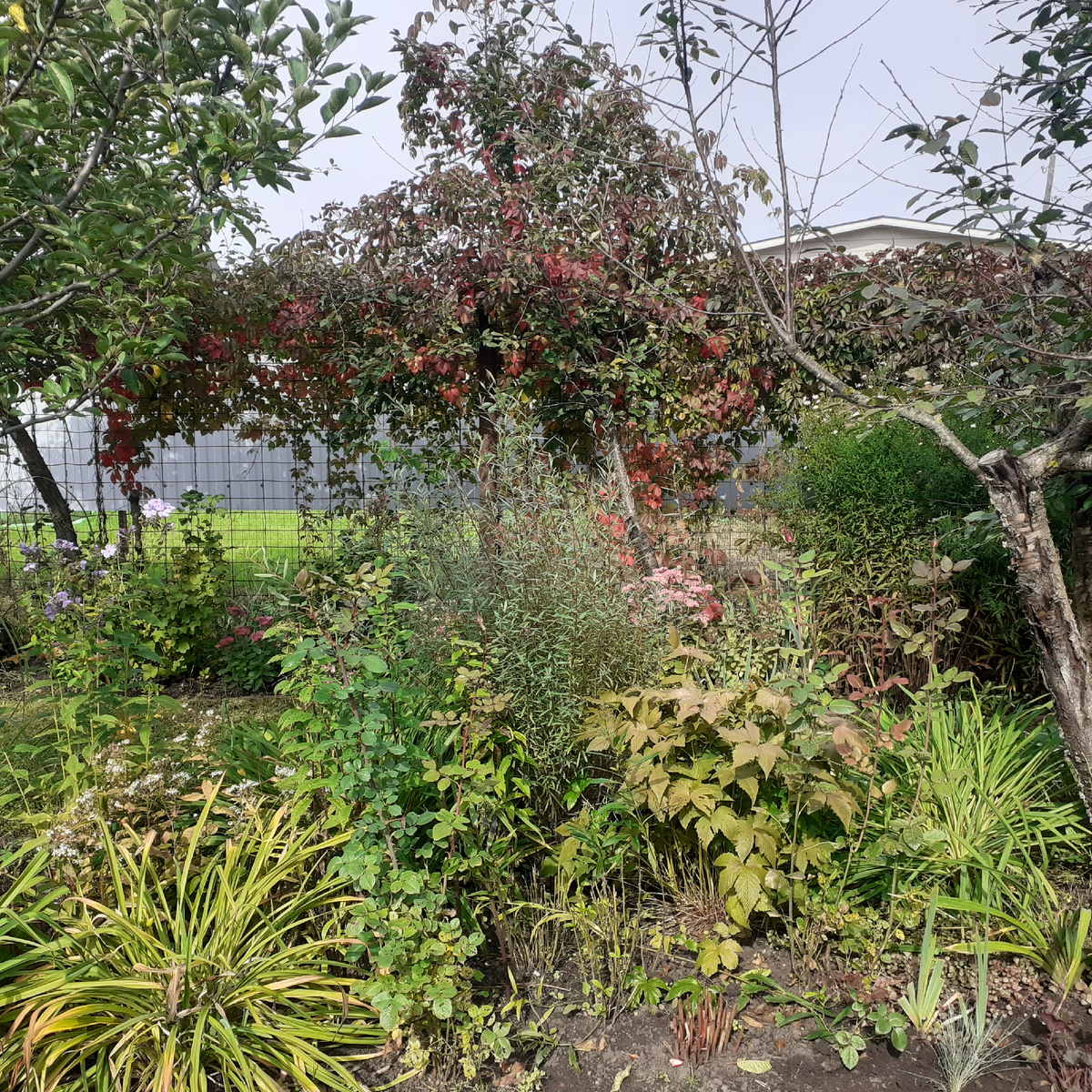 А этот участок ждет своей весн