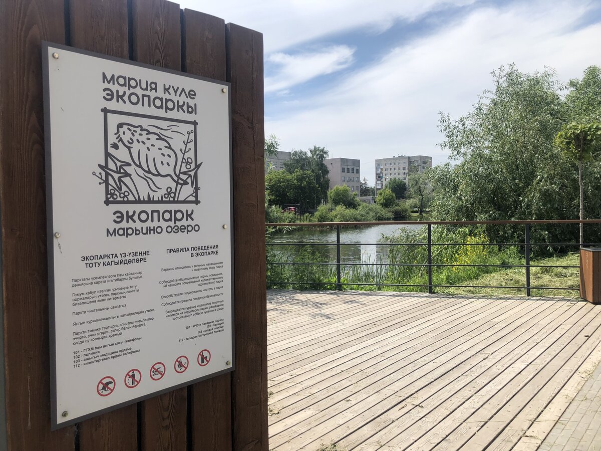 Личное фото автора