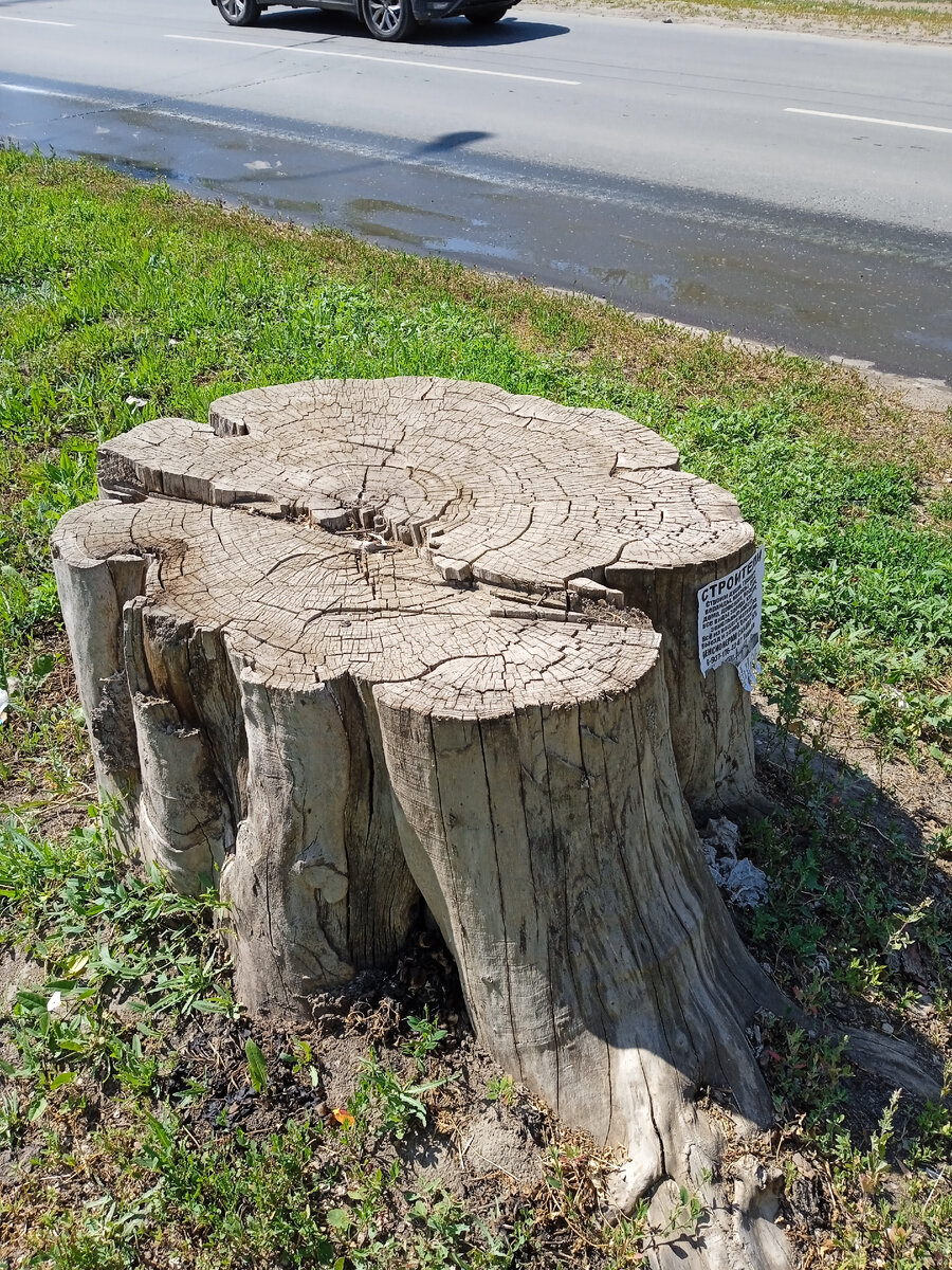 Данное фото здесь не случайно