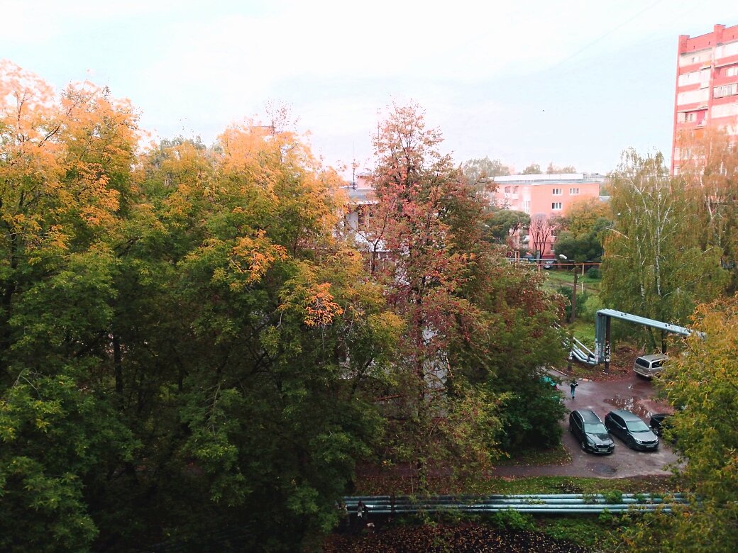 Вид из окна (Фото автора)

