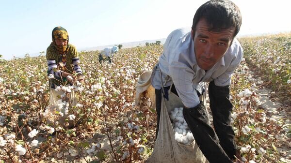   © Sputnik / Алексей Куденко