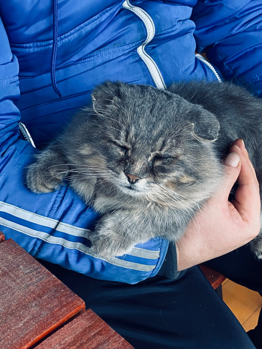 Щеки Филя уже наел хорошие к зиме. Везде фото автора.