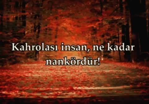 Проклятый человек, какой неблагодарный! взято из открытых источников интернета
