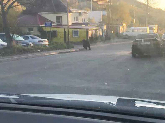   Соцсети