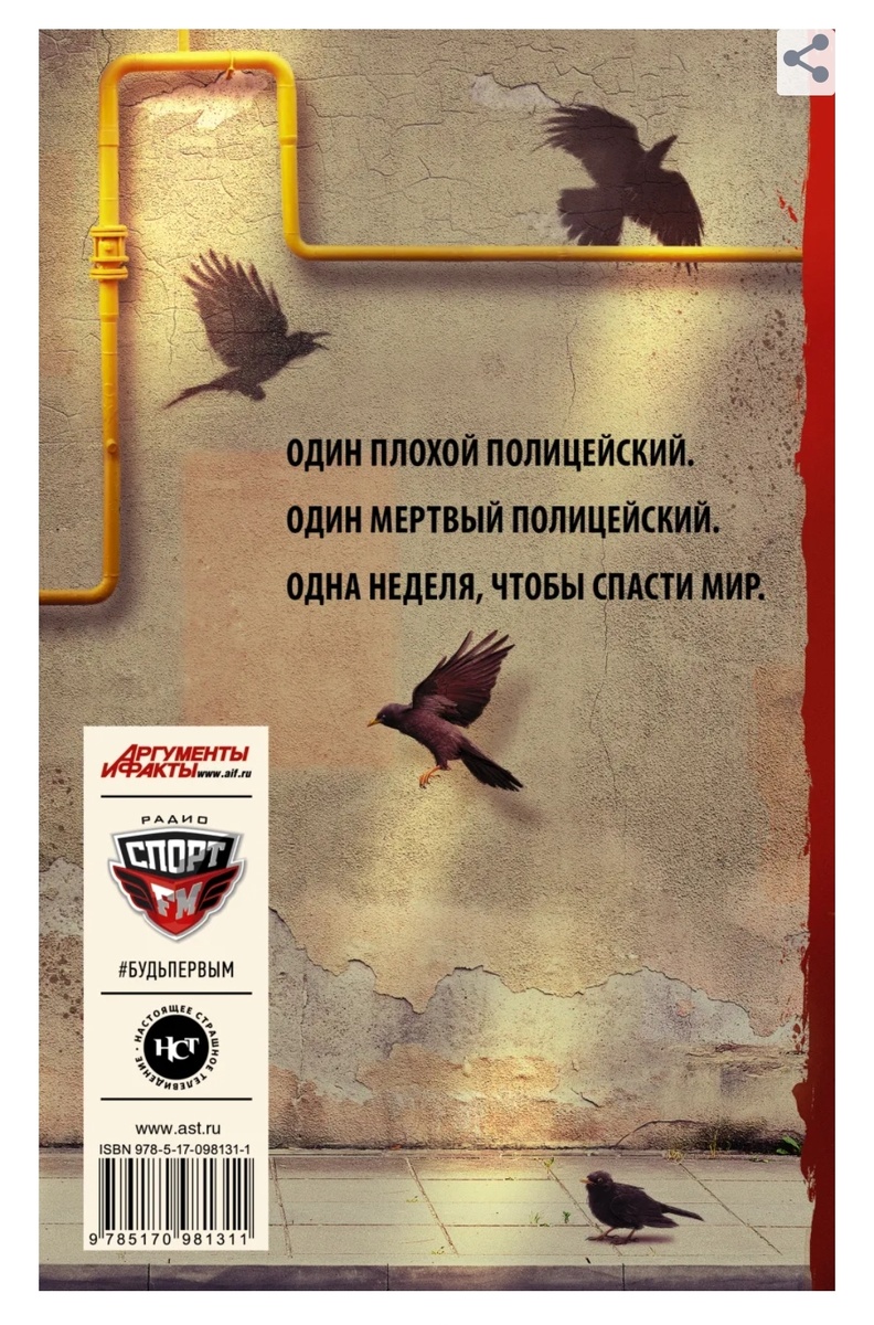 Фото из открытых источников. 