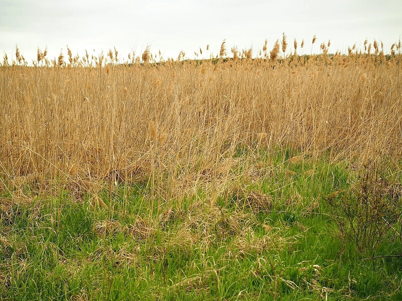   Фото: пресс-служба ГУ МЧС России по Пензенской области