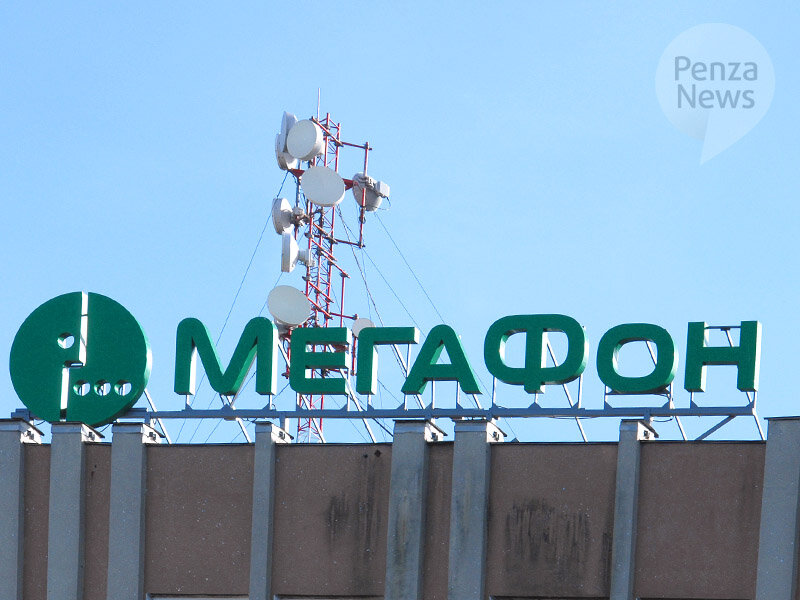   © Фото из архива ИА «PenzaNews»