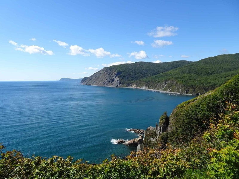 Японское моречко