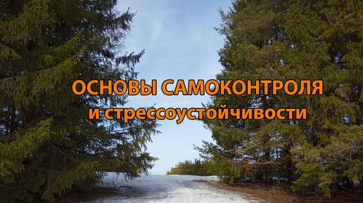 Основы самоконтроля и стрессоустойчивости