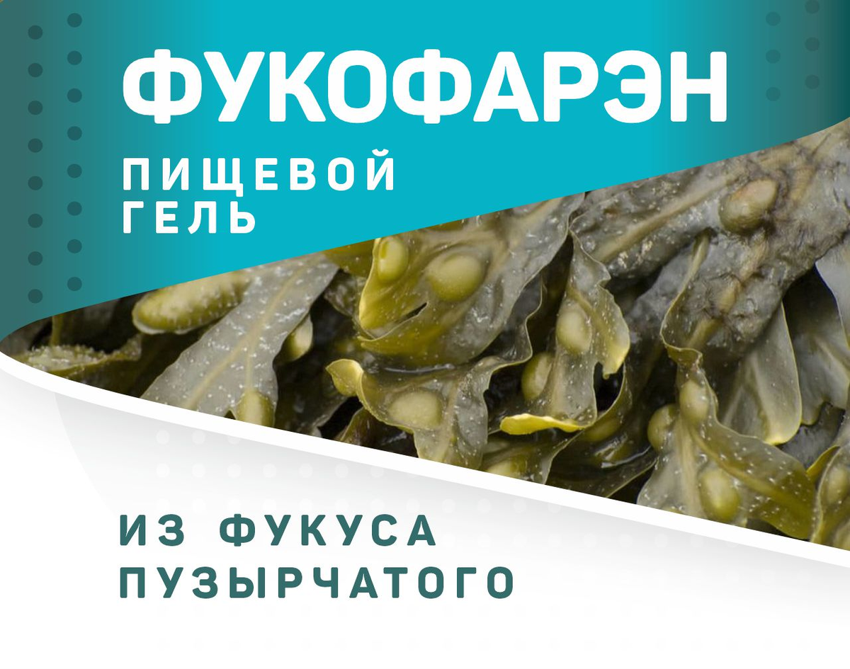 ФукоФарэн пищевой гель из фукуса пузырчатого