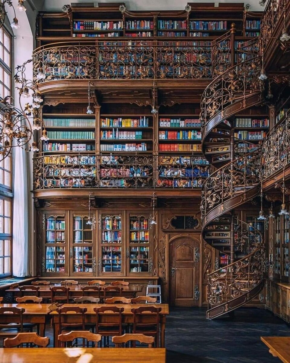 Великолепные библиотеки мира. Помянем, не чокаясь | Любопытный Паганель |  Дзен