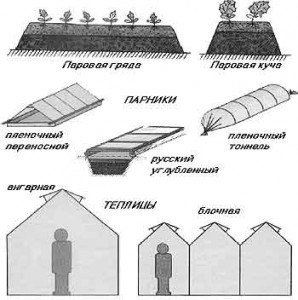 Виды парников