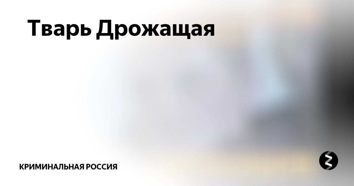 Тварь Дрожащая | Криминальная россия | Дзен