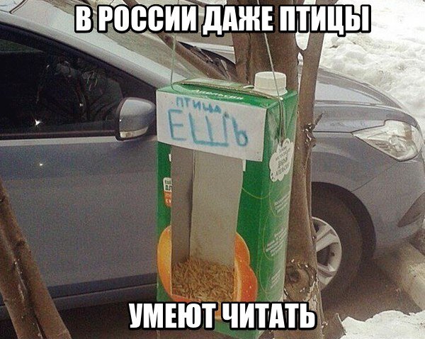 Фото с сайта pisez.com