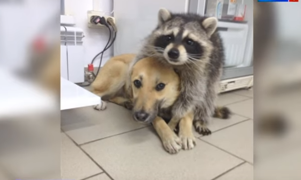 Еша и его друг