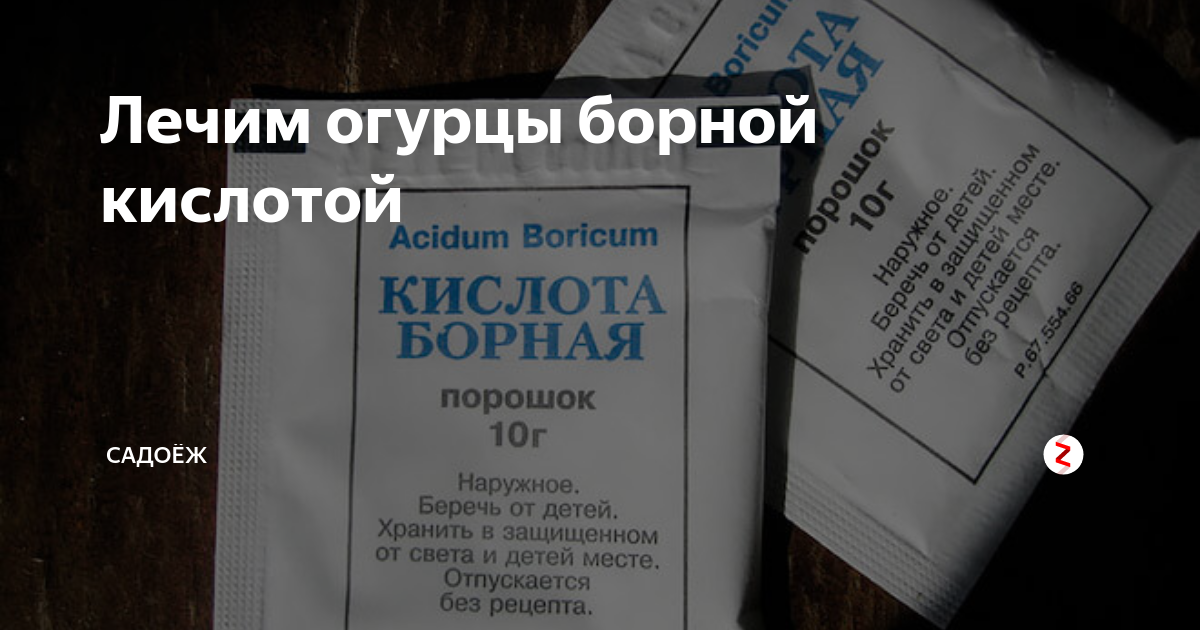 Как развести борную кислоту для завязи огурцов. Борная кислота для огурцов. Огурцы и борная кислота. Обработка огурцов борной кислотой. Борная кислота для огурцов в теплице.