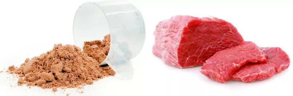 пищевой белок. говяжий изолят протеина. мясо говядина белок. едят белки говядину. едят белки говядину.