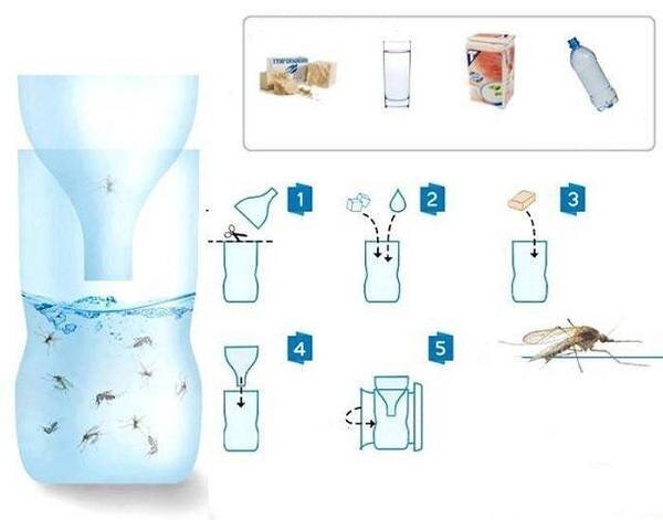 Делаем Ловушки для Тараканов в Домашних Условиях