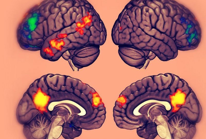 Физиология заблуждений, или как мозг защищает нас от гибели и делает уникальными