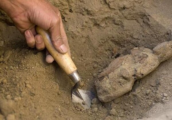 фото с сайта: b-port.com