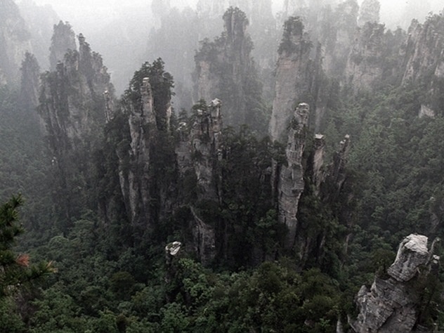 Фото взято с сайта "Misticous"