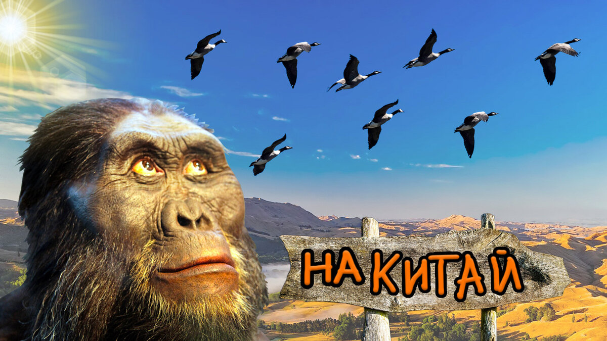 Назад в азию. Карта расселения хомо сапиенс сапиенс. Расселение древних людей по земле. Юго восточная азия рыболовство. Назад в азию.