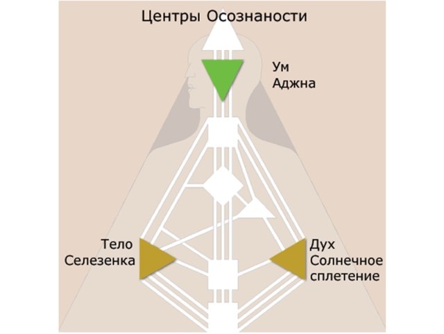 КАНАЛ МЫСЛИТЕЛЯ 24-61