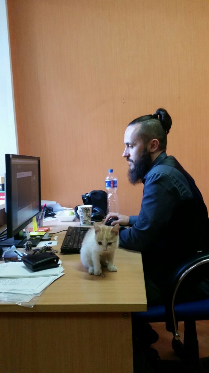 Котик дизайнер