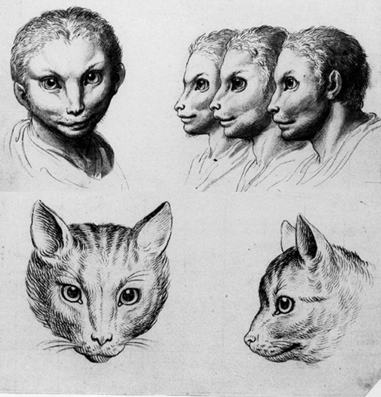 Физиономия человека рисунок