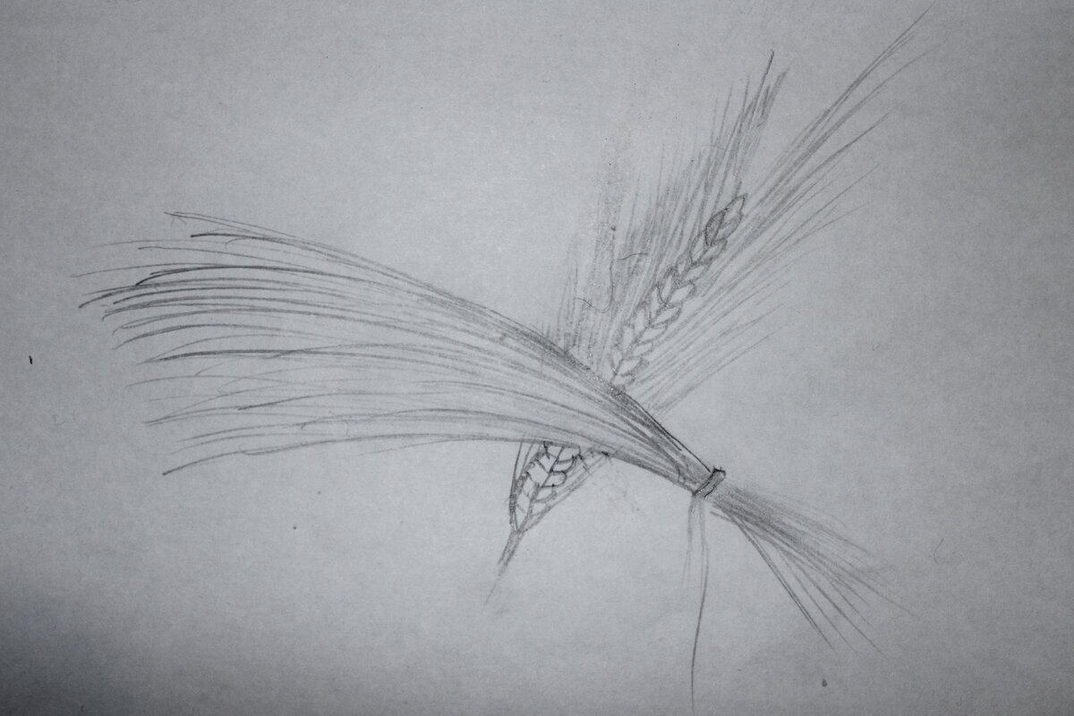 Детский рисунок к сказке "Вершки и корешки"