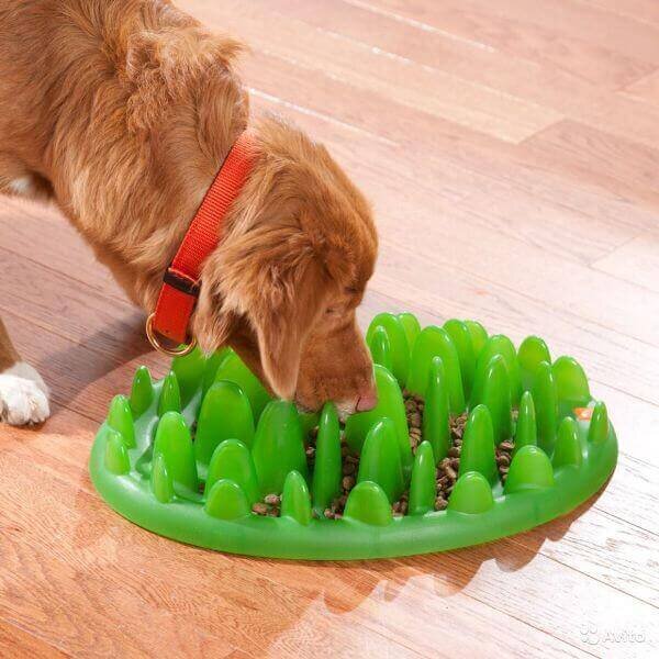 Миска-головоломка