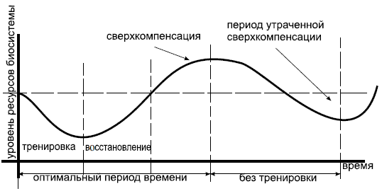 Принцип сверхкомпенсации 