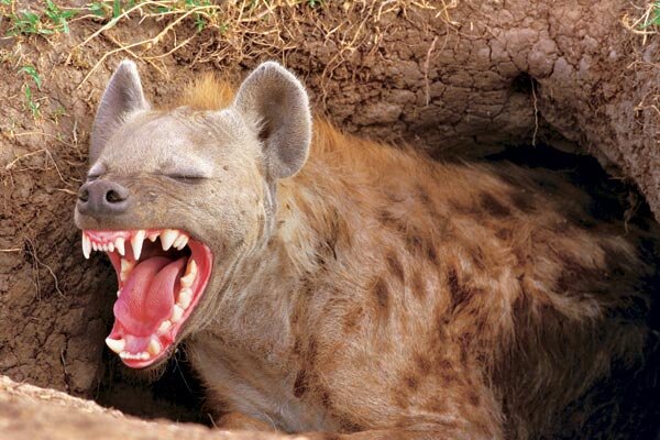 ТЫ ОПОЗДАЛ НА 5 МИНУТ