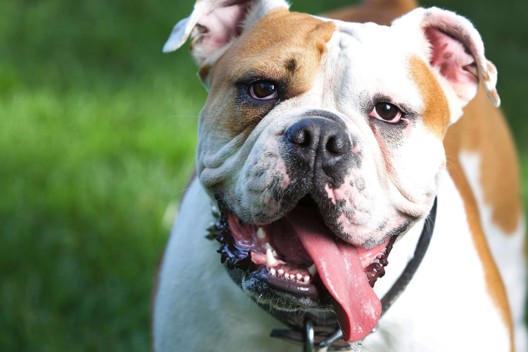 Поставим лайков за глазки? 😉 😊