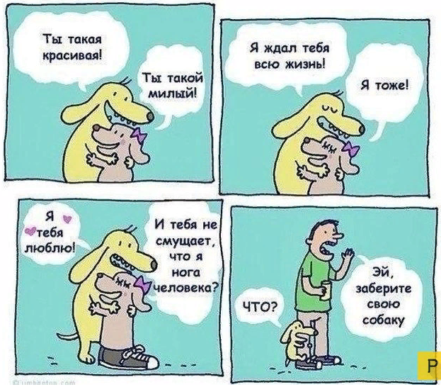 Картинка с сайта pressa.tv