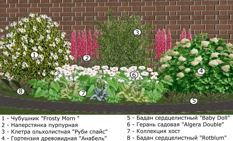 Цветник в июне