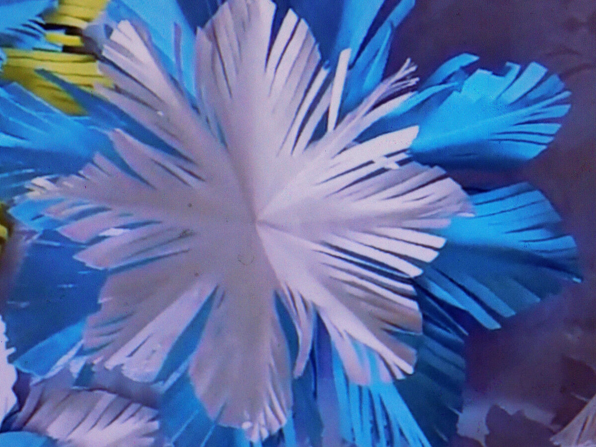 пушистая снежинка своими руками. пушистая снежинка из бумаги. снежинки из бумаги объёмные пушистые. снежинки из бумаги объёмные пушистые. мастер класс пушистая снежинка.