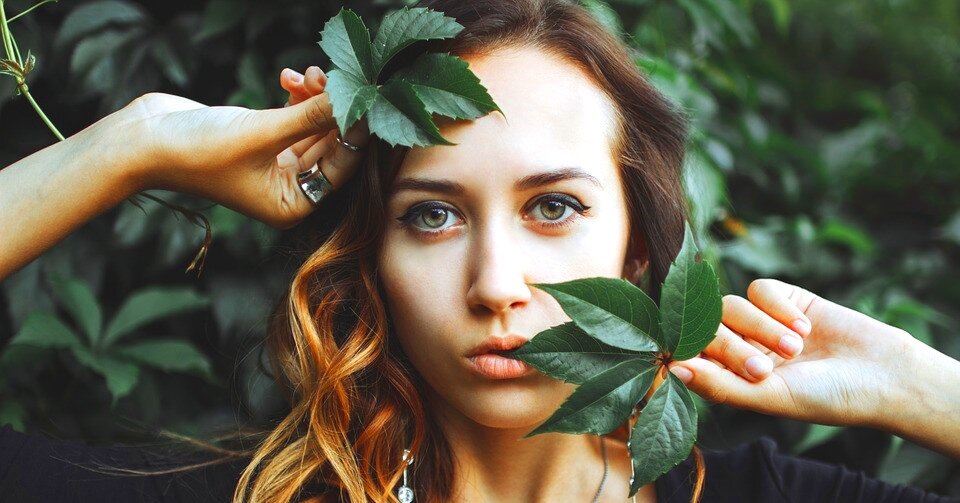 Изображение с сайта https://pixabay.com (Creative Commons CC0)