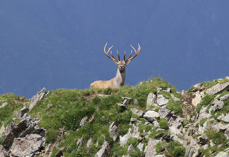 Фото: Юрий Дорош/пресс-служба «Роза Хутор»