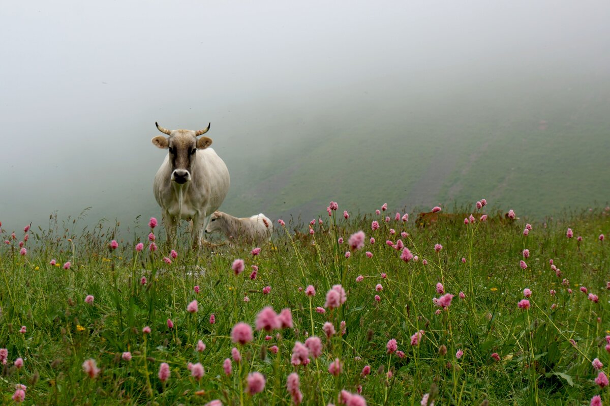 Фото из похода 2018 года