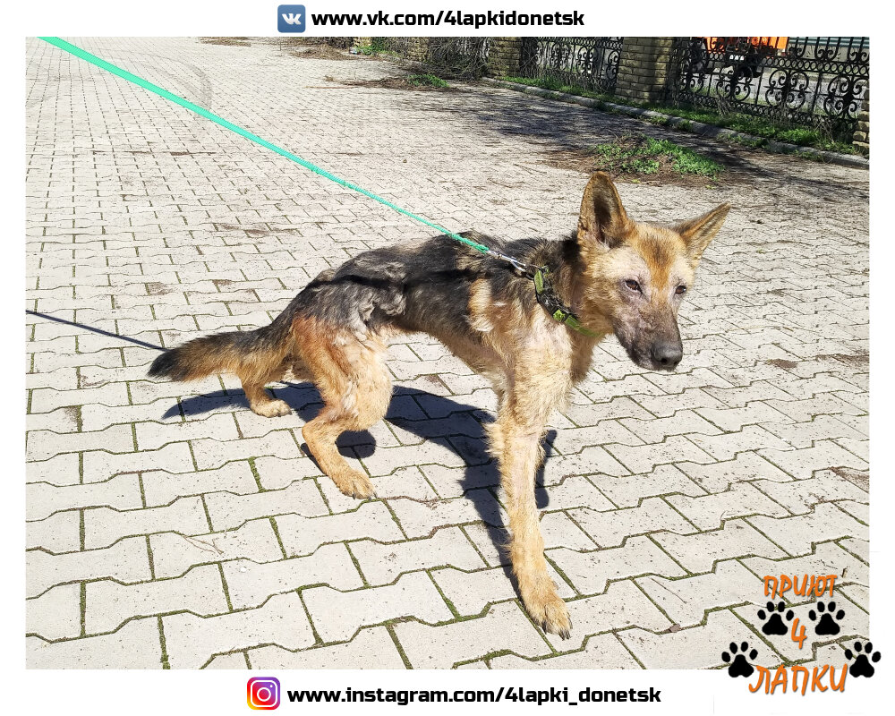 Фото:Андрей Шаталов