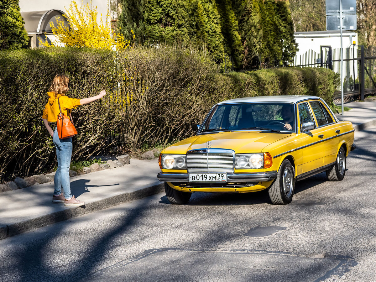 Живая классика Mercedes-Benz W123 | РЯБИНИН | ФОТОПУТЕШЕСТВИЯ | Дзен