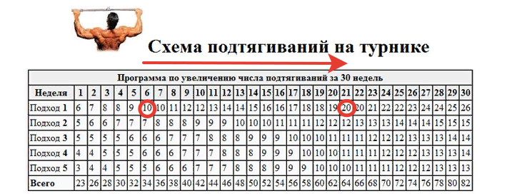 Рост подтягиваний. Схема подтягиваний на брусьях за 30. Таблица подтягиваний и отжиманий. Схема подтягиваний на турнике и брусьях. График подтягиваний.