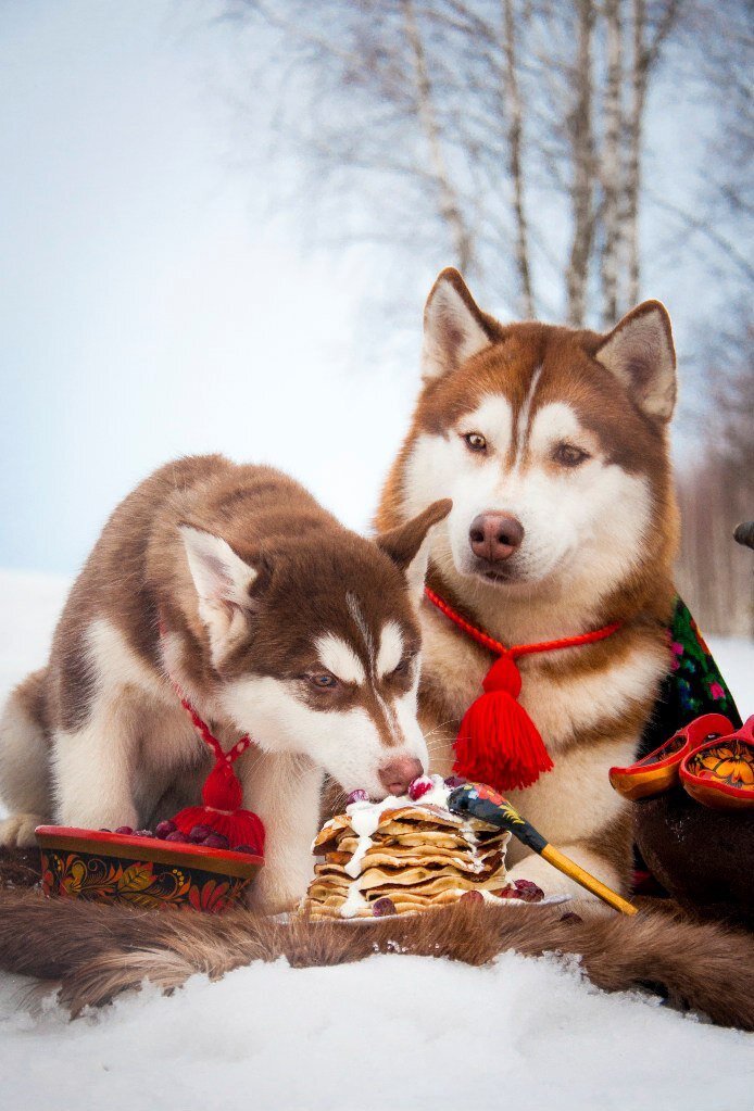 когда нельзя, но очень хочется. Инди и Игорь